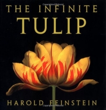 Cover art for The Infinite Tulip
