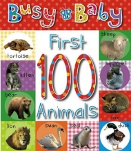 Cover art for First 100 Animals (Busy Baby)
