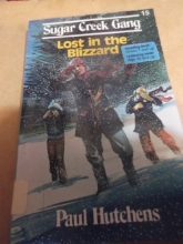 Cover art for Lost in the Blizzard (Sugar Creek Gang #15)