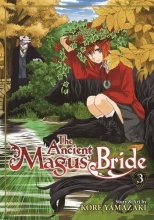 Cover art for The Ancient Magus' Bride Vol. 3