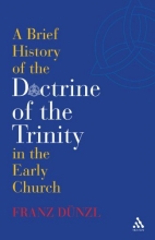 Cover art for A Brief History of the Doctrine of the Trinity in the Early Church (T&T Clark)