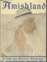 Cover art for Amishland