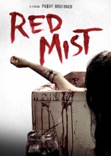 Cover art for Red Mist