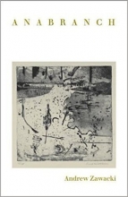 Cover art for Anabranch (Wesleyan Poetry Series)