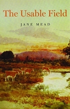 Cover art for The Usable Field