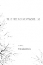Cover art for You and Three Others Are Approaching a Lake