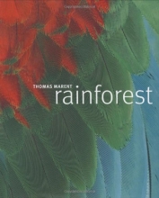 Cover art for Rainforest