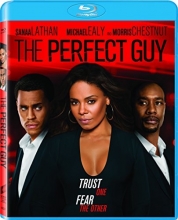 Cover art for The Perfect Guy [Blu-ray]