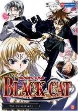 Cover art for Black Cat, Vol. 2 - The Catastrophe