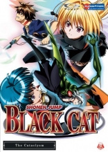 Cover art for Black Cat, Vol. 5 - The Cataclysm