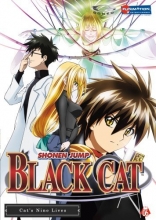 Cover art for Black Cat, Vol. 6 - Cat's Nine Lives