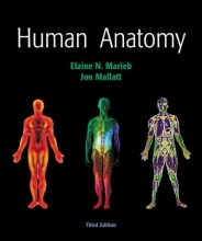 Cover art for Human Anatomy (3rd Edition)