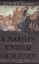 Cover art for A Nation under Our Feet: Black Political Struggles in the Rural South from Slavery to the Great Migration