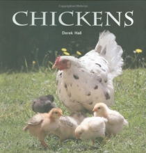 Cover art for Chickens (Flexi cover series)