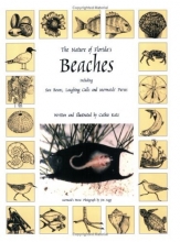 Cover art for The Nature of Florida's Beaches Including Sea Beans, Laughing Gulls and Mermaids' Purses