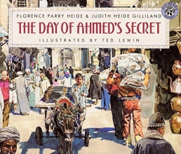 Cover art for Day of Ahmed's Secret