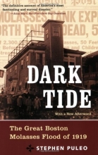 Cover art for Dark Tide: The Great Boston Molasses Flood of 1919