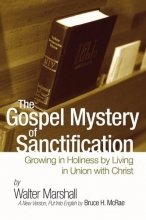Cover art for The Gospel Mystery of Sanctification: Growing in Holiness by Living in Union with Christ