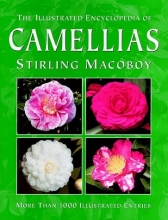 Cover art for The Illustrated Encyclopedia of Camellias