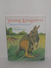 Cover art for Young Kangaroo