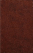 Cover art for ESV Large Print Personal Size Bible (TruTone, Chestnut)