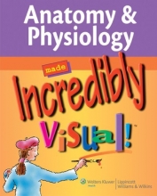 Cover art for Anatomy & Physiology Made Incredibly Visual! (Incredibly Easy! Series)