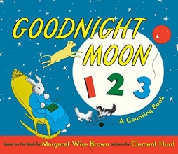 Cover art for Goodnight Moon 123: A Counting Book