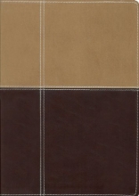 Cover art for NIV Giant Print Reference Bible
