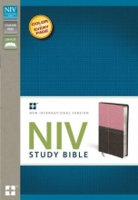 Cover art for NIV Study Bible, Imitation Leather, Pink/Brown, Red Letter Edition