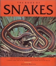 Cover art for The Book of Snakes
