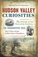 Cover art for Hudson Valley Curiosities: The Sinking of the Steamship Swallow, the Poughkeepsie Seer, the UFOs of the Celtic Stone Chambers and More