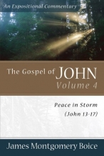 Cover art for The Gospel of John: Peace in Storm (John 13-17) (Expositional Commentary)