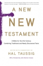 Cover art for A New New Testament: A Bible for the Twenty-first Century Combining Traditional and Newly Discovered Texts
