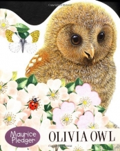 Cover art for Olivia Owl Board Book