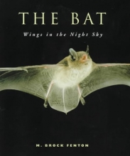 Cover art for Bat Wings In the Night Sky