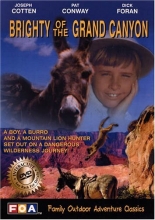 Cover art for Brighty of the Grand Canyon