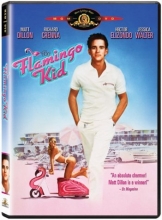 Cover art for The Flamingo Kid