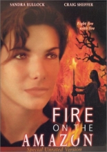 Cover art for Fire on the Amazon