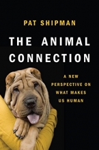 Cover art for The Animal Connection: A New Perspective on What Makes Us Human
