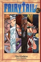 Cover art for Fairy Tail 17