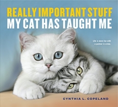 Cover art for Really Important Stuff My Cat Has Taught Me