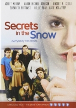 Cover art for Secrets In The Snow