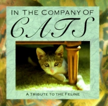 Cover art for In The Company Of Cats