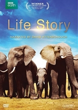 Cover art for Life Story