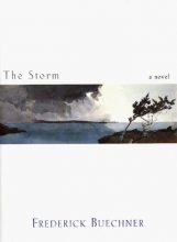 Cover art for The Storm: A Novel