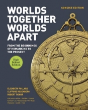 Cover art for Worlds Together, Worlds Apart: A History of the World: From the Beginnings of Humankind to the Present (Concise High School Edition)