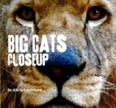 Cover art for Big Cats Closeup/elephants Closeup