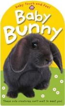 Cover art for Baby Touch and Feel Baby Bunny