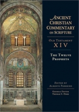 Cover art for The Twelve Prophets (Ancient Christian Commentary on Scripture: Old Testament, Volume XIV)