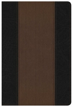 Cover art for Summary Bible, KJV Edition, Black/Brown LeatherTouch